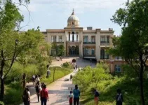 matrículas da rede municipal de ensino