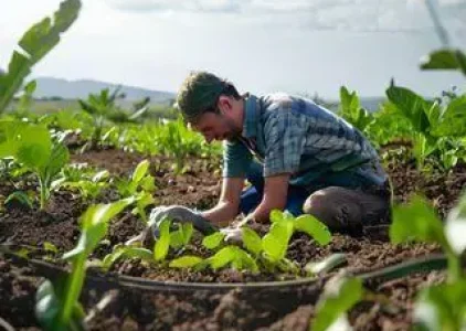 Últimas noticias de Caucaia