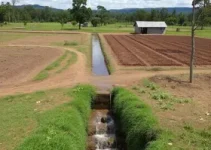 desenvolvimento rural