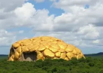 experiências imersivas