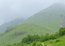 Caucaia previsão do tempo