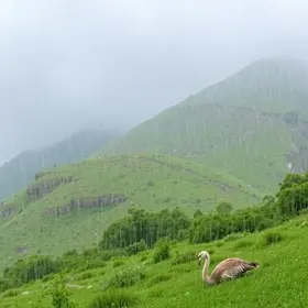 Caucaia previsão do tempo