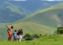 irregularidades na COOPAIS