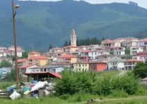 fiscalização do descarte irregular de lixo