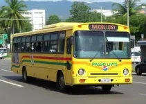Caucaia transporte municipal