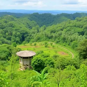 Parque Estadual Botânico em Caucaia