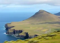 Novo Mercado das Malvinas