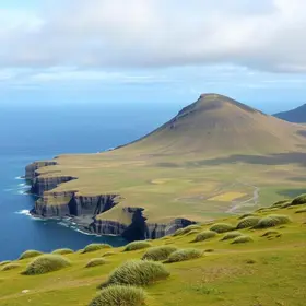 Novo Mercado das Malvinas