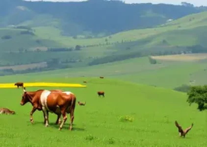 Últimas noticias de Caucaia