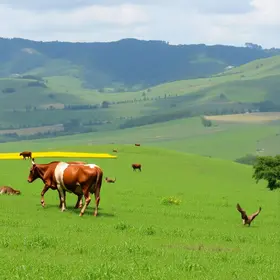 potencial agropecuário