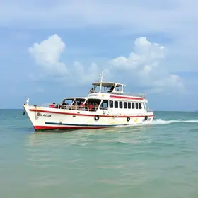 balsa encalhada