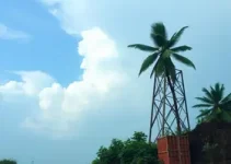 Termoceará