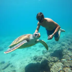monitoramento de tartarugas marinhas