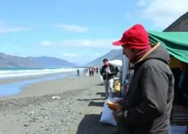 Mercado das Malvinas